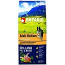 Ontario Adult Medium Lamb & Rice 12 kg