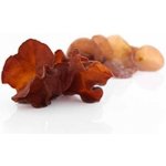 MycoMedica Auricularia Jidášovo ucho 100 g – Zboží Dáma