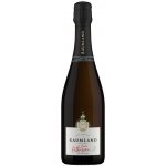 Sekthaus Raumland Cuvée Katharina Brut Nature bílé 2018 12% 0,75 l (holá láhev) – Zboží Dáma