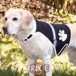 Trixie Flash bezpečnostní vesta – Hledejceny.cz