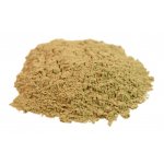 Salvia Paradise Guduchi Chebule srdčitá mletá 100 g – Hledejceny.cz