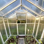 Scobax Penny 2,1 x 2 m polykarbonát 4 mm BDX00366 – Zboží Dáma