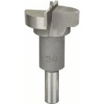 Bosch 2608596980 – Hledejceny.cz