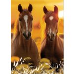 Pohlednice Koně 98 – Sleviste.cz