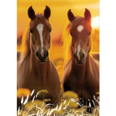 Pohlednice Koně 98 – Sleviste.cz