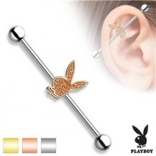 Piercingate Industrial piercing Playboy PIN00050 stříbrná