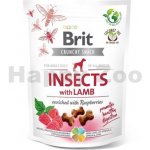 Brit Care Dog Crunchy Cracker Insects with Lamb enriched with Raspberries 200 g – Hledejceny.cz