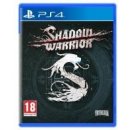 Shadow Warrior