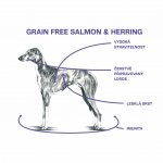 Sam's Field Grain Free Salmon & Herring 13 kg – Sleviste.cz