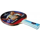 Butterfly Timo Boll 900