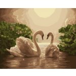 Norimpex Diamantové malování Labutí píseň 30 x 40 cm – Sleviste.cz