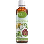 Serafin Lichořeřišnice tinktura z pupenů 50 ml – Hledejceny.cz