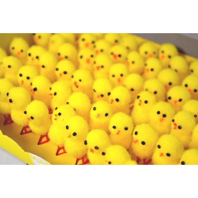 Kuřátko pompon s křídélky 5 cm – Hledejceny.cz
