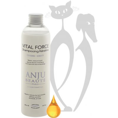 Anju Beauté Vital Force regenerační s keratinem 2500 ml – Zboží Dáma