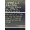 Elektronická kniha Совремeнная дидактика русского языка как второго иностранного