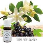 Od Janky Vonný olej Černý rybíz s jasmínem 10 ml – Hledejceny.cz