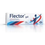 FLECTOR EP DRM 10MG/G GEL 100G – Zboží Mobilmania