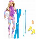 Mattel Barbie Zimní Dobrodružství Na Lyžích – Zboží Mobilmania