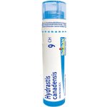 HYDRASTIS CANADENSIS POR 9CH GRA 1X4G – Hledejceny.cz
