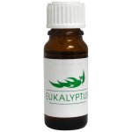 Hanscraft Esenciální saunový vonný olej Eukalyptus 10 ml – Hledejceny.cz