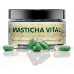 Masticlife Masticha Vital: Double Action 60 kapslí – Hledejceny.cz