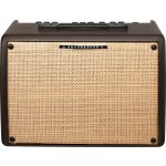 Ibanez T 30 – Sleviste.cz