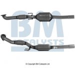 BM CATALYSTS BM80081H