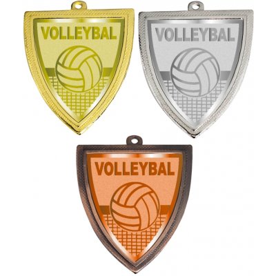 VIZINGR Volejbal medaile D129-AFS035 – Hledejceny.cz