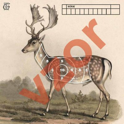 Terč Tiskárna Budík vzduchovkový Daněk 14x14 cm – Hledejceny.cz