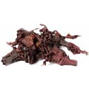 Lifefood Dulse Bio 50 g