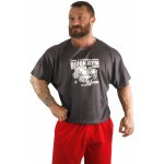 Bizon Gym Rag Top 507 červená – Sleviste.cz