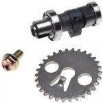 Baotian Vačka + rozvodové kolo Baotian Orbit / Fiddle SOR0081 | Zboží Auto