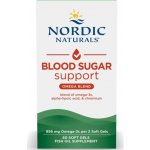 Nordic Naturals Podpora krevního cukru 60 softgel kapslí – Hledejceny.cz