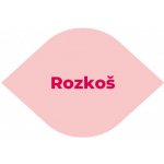 Rozkoš erotická hra + dárek hrací kostky – Sleviste.cz