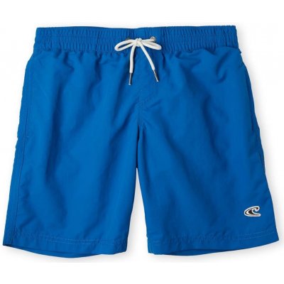 O'Neill VERT shorts Modrý – Hledejceny.cz