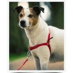 PetSafe Postroj EasyWalk – Zboží Dáma PetSafe Postroj EasyWalk – Zboží Dáma