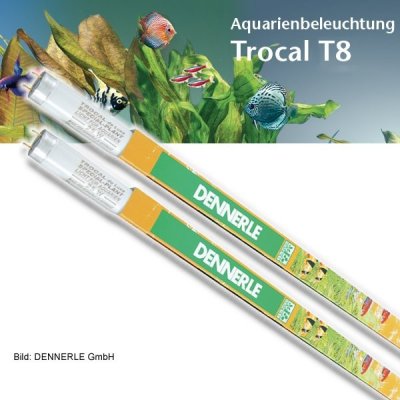 Dennerle Trocal de Luxe T8 Special Plant DUO 2x30 W, 895 mm – Hledejceny.cz