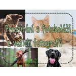 PokojovaDekorace.cz Prostírání s fotokoláží z vašich fotografií 43x30cm – Hledejceny.cz