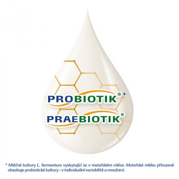 HiPP 1 BIO Combiotik 300 g