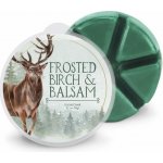 Goose Creek Candle Vonný Vosk Frosted Birch & Balsam 59 g – Hledejceny.cz