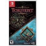 Planescape: Torment (Enhanced Edition) + Icewind Dale (Enhanced Edition) – Zboží Živě