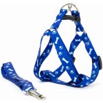 Vsepropejska Usual postroj pro psa s vodítkem – Zbozi.Blesk.cz