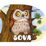 Brož SOVA 4 růžová malinová – Zbozi.Blesk.cz