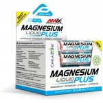 Amix Magnesium Liquid Plus 20 x 25 ml pineapple – Hledejceny.cz