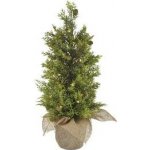 EMOS LED svítící stromek 50 cm venkovní i vnitřní teplá bílá časovač – Hledejceny.cz