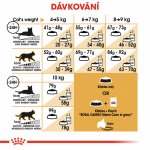Royal Canin Maine Coon Adult 10 kg – Zboží Mobilmania