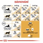 Royal Canin Maine Coon Adult 10 kg – Hledejceny.cz