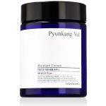 Pyunkang Yul Moisture Cream hydratační krém 100 ml – Hledejceny.cz