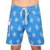 Koupací šortky, boardshorts 69SLAM desert scene blue theo SCSDSB-BL