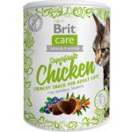 Brit Care Cat Snack Superfruits Chicken 100 g – Zbozi.Blesk.cz